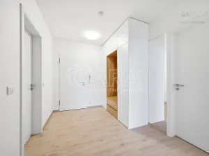 Pronájem bytu 2+kk, Olomouc - Nová Ulice, Hněvotínská, 70 m2