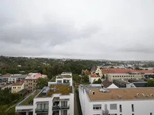 Pronájem bytu 2+kk, Brno - Královo Pole, Palackého třída, 56 m2