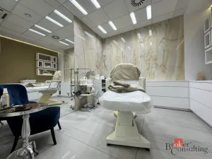 Pronájem komerční nemovitosti, Plzeň - Severní Předměstí, Otýlie Beníškové, 11 m2