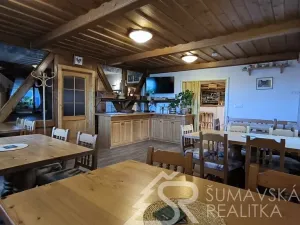 Prodej ubytování, Zdíkov - Nový Dvůr, 750 m2