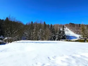 Prodej pozemku, Desná - Desná I, Údolní, 1668 m2