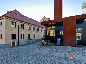 Pronájem bytu 1+kk, Praha - Nusle, Vrtbova, 36 m2