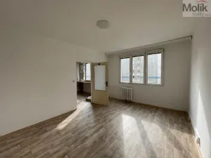 Pronájem bytu 1+1, Litvínov - Horní Litvínov, B. Němcové, 35 m2