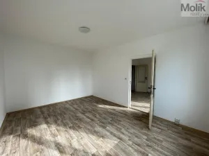 Pronájem bytu 1+1, Litvínov - Horní Litvínov, B. Němcové, 35 m2