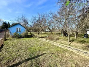 Prodej zahrady, Dyje, 511 m2