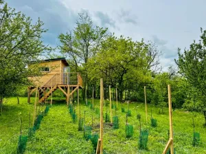 Prodej, Blučina, 30 m2