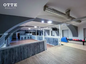 Prodej činžovního domu, Stod, U Elektrárny, 466 m2