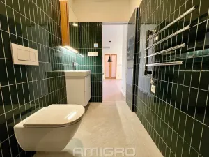 Pronájem bytu 1+kk, Brno, Peroutková, 25 m2