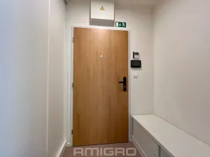 Pronájem bytu 1+kk, Brno, Peroutková, 25 m2