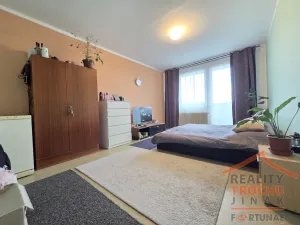 Prodej bytu 2+1, Rokytnice v Orlických horách, U Nádraží, 63 m2