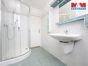 Pronájem rodinného domu, Luká - Střemeníčko, 262 m2