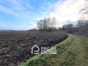 Prodej pole, Kožušany-Tážaly - Kožušany, 15995 m2