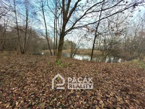 Prodej pole, Kožušany-Tážaly - Kožušany, 15995 m2