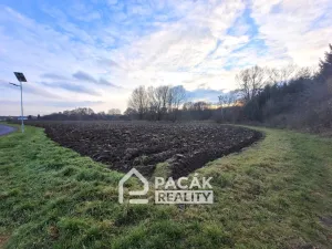 Prodej pole, Kožušany-Tážaly - Kožušany, 15995 m2