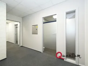 Pronájem kanceláře, Praha - Vinohrady, Šafaříkova, 123 m2