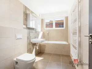 Pronájem bytu 1+kk, Heřmanova Huť - Vlkýš, U Pondu, 36 m2