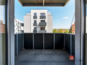 Pronájem bytu 1+kk, Heřmanova Huť - Vlkýš, U Pondu, 36 m2