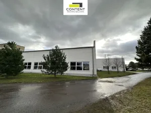 Pronájem výrobních prostor, Litvínov - Záluží, 7684 m2