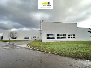 Pronájem výrobních prostor, Litvínov - Záluží, 7684 m2