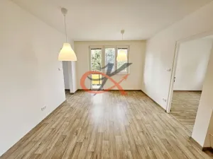 Pronájem bytu 3+1, Valašské Meziříčí, Křižná, 60 m2