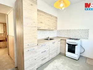 Prodej bytu 2+1, Bílina - Teplické Předměstí, M. Švabinského, 55 m2