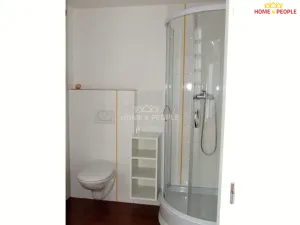 Pronájem bytu 1+kk, Brno - Černovice, Churého, 50 m2