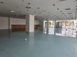 Pronájem obchodního prostoru, Praha, Siemensova, 146 m2