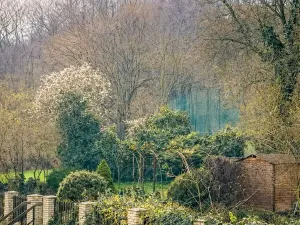 Prodej bytu 2+kk, Praha - Michle, Nuselská, 56 m2