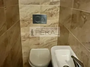 Pronájem obchodního prostoru, Praha - Vinohrady, Slezská, 167 m2