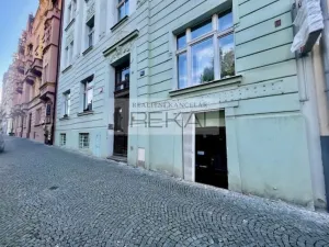 Pronájem obchodního prostoru, Praha - Vinohrady, Slezská, 167 m2