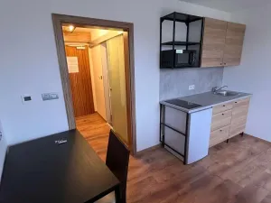 Pronájem bytu 1+kk, Praha - Suchdol, Suchdolské náměstí, 23 m2