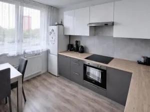 Pronájem bytu 3+1, Most, Růžová, 56 m2