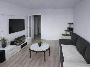 Pronájem bytu 3+1, Most, Růžová, 56 m2