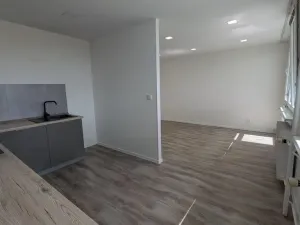 Pronájem bytu 3+1, Most, Růžová, 56 m2