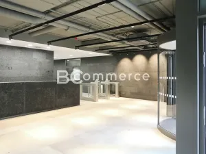 Pronájem kanceláře, Brno, 160 m2