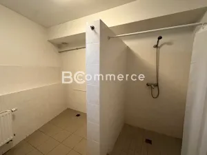 Pronájem kanceláře, Brno, 167 m2