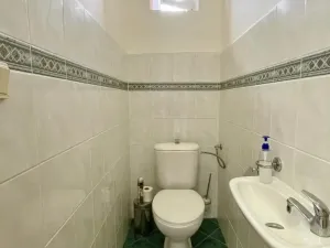 Prodej vícegeneračního domu, Ostrava - Mariánské Hory, Štítného, 321 m2