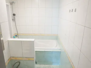 Pronájem bytu 3+1, České Budějovice - České Budějovice 3, Plzeňská, 64 m2