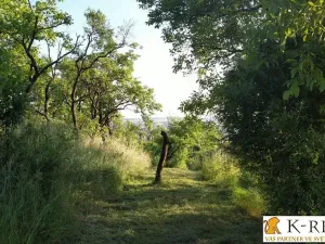 Prodej zahrady, Brno - Židenice, 1227 m2