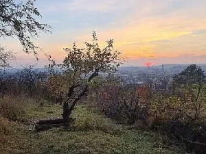 Prodej zahrady, Brno - Židenice, 1227 m2