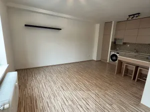 Pronájem bytu 2+kk, Praha - Žižkov, Hořanská, 50 m2