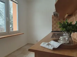 Prodej bytu 1+1, Turnov, Přepeřská, 35 m2