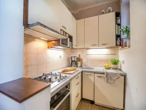 Prodej bytu 2+kk, Mladá Boleslav, S. K. Neumanna, 44 m2