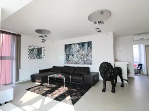 Pronájem bytu 3+kk, Plzeň, Goldscheiderova, 250 m2