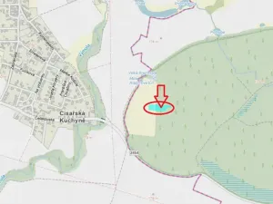 Prodej podílu lesa, Přerov nad Labem, 1596 m2