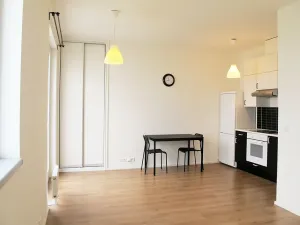 Pronájem bytu 1+kk, Praha - Hlubočepy, Geologická, 32 m2