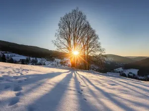 Prodej chalupy, Pec pod Sněžkou, 322 m2