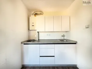 Prodej bytu 2+kk, Osek, Smetanova, 35 m2