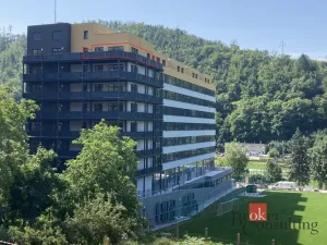 Pronájem bytu 2+kk, Adamov, Svitavská, 96 m2