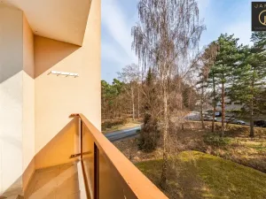 Prodej bytu 2+1, Plzeň - Doubravka, Ke Špitálskému lesu, 58 m2